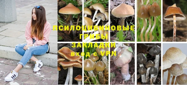 гидропоника Армянск